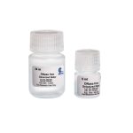 Nuclease Free Water-CH8161