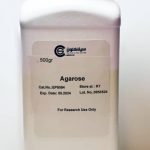 آگارز