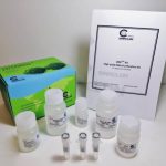DNA EXTRACTION Kit (DNP™)