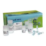 Plasmid Extraction Kit - 50 prep(mini prep) EX6112