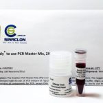 Reddy to use PCR Master mix 2x .100Tests/25ul-MM2062