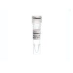 MO5421-Proteinase K (20mg/ml)- پروتئینازکا