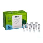 SinaClon First Strand cDNA Synthesis Kit - کیت سنتز سی دی ان ای