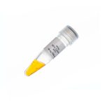 Ladder 50bp (ready to use) 50-1500 , 500µl-SL7021 - لدر