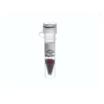 Ladder 100bp (ready to use) 100-1500 bp-SL7031- لدر