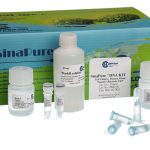 Sinapure-DNA (Cell culture, Tissues, Gram negative Bacteria and CSF)50t -EX6011