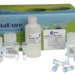 Sinapure-DNA (gram(+) Bacteria)50R-EX6021