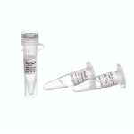 SmarTaq DNA Polymerase ,500u-5 u/µl