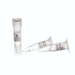 Taq Polymerase,500u -5 u/µl-DP1602- آنزیم تک پلیمراز