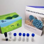 HBV real time quantitative-24test