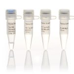 Taq DNA Polymerase, recombinant (5 U/µL)