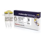 MspI (HpaII) (10 U/µL)