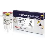 MvaI (BstNI) (10 U/µL)