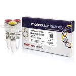 Mva1269I (BsmI) (10 U/µL)