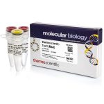 Tru1I (MseI) (10 U/µL)