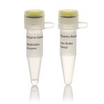 BsuRI (HaeIII) (10 U/µL)