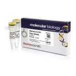 PdmI (XmnI) (10 U/µL)