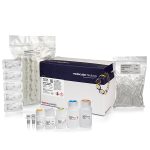 GeneJET Genomic DNA Purification Kit