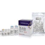 GeneJET Gel Extraction and DNA Cleanup Micro Kit