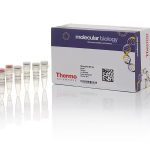 RevertAid RT Reverse Transcription Kit