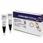 GeneRuler 1 kb DNA Ladder, ready-to-use