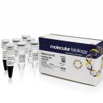 GeneRuler DNA Ladder Mix