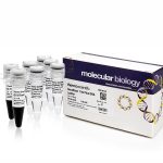 GeneRuler 1 kb Plus DNA Ladder