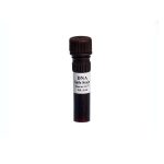 DNA Safe Stain- 1ml 