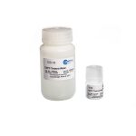 DEPC Treated Water 100ml