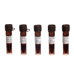 Glass Beads(0.4~0.6mm)-10gr