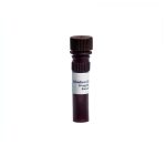Ethidium Bromide 1 ml