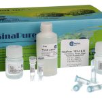 Sinapure-DNA (Cell culture, Tissues, Gram negative Bacteria and CSF)25t