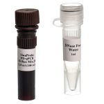 Prob HS-qPCR Master Mix (Hi-ROX)